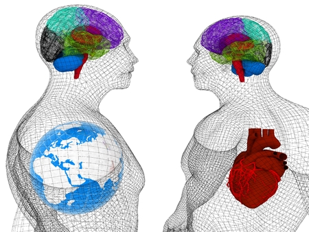 Wire human body model with heart and brain in x-ray. 3d render. Global medical concept with Earth. 3d renderの写真素材
