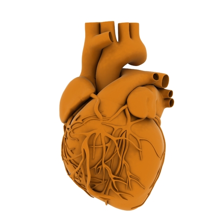 Yellow human heart. 3d illustrationの写真素材