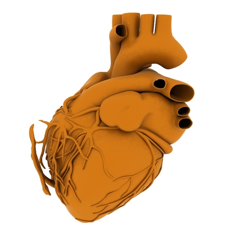 Yellow human heart. 3d illustrationの写真素材