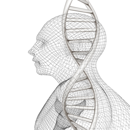 3D medical background with DNA strands and human. 3d renderの写真素材