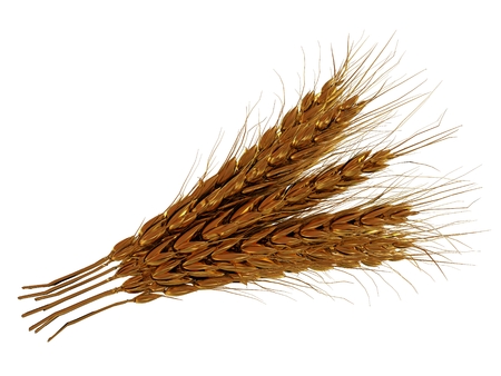 Golden spikelet. 3d renderの写真素材