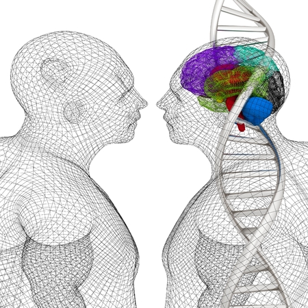 3D medical background with human, brain and DNA strands. 3d renderの写真素材