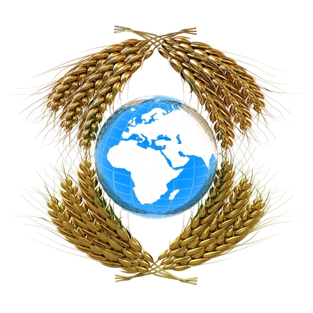 Wheat ears logo design with Earth. 3d renderの写真素材