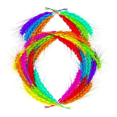 Colored Wheat ears logo. Mock up for you design. 3d renderの写真素材