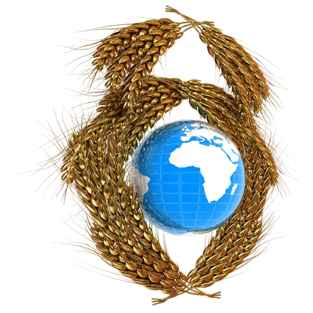 Wheat ears logo design with Earth. 3d renderの写真素材