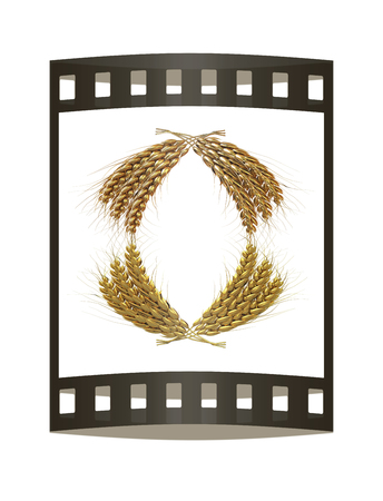 Wheat ears logo. Mock up for you design. 3d render. Film strip.の写真素材