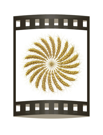 3D illustration of a golden wreath made of wheat spikelets. Design element. 3d render. Film strip.の写真素材