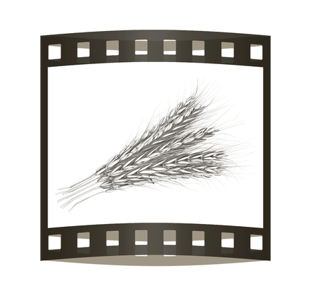 Metall spikelet. 3d render. Film strip.の写真素材