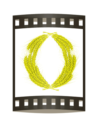 Wheat ears logo. Mock up for you design. 3d render. Film strip.の写真素材