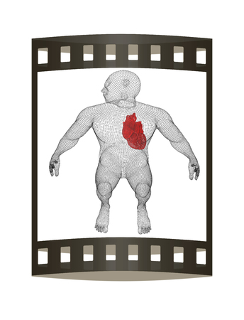 Human Internal Organic - Human Heart, medical concept. 3d render. Film strip.の写真素材