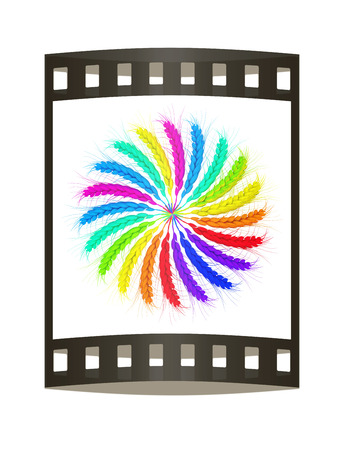 3D illustration of a colored wreath made of wheat spikelets. Design element. 3d render. Film strip.の写真素材