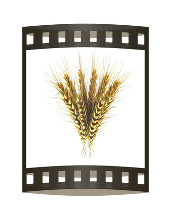 Golden spikelet. 3d render. Film strip.の写真素材