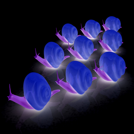 Racing snails. 3D illustration. On a black background.の写真素材
