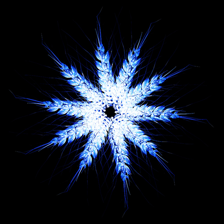 Golden spikelet. Top view. 3d render. On a black background.の写真素材