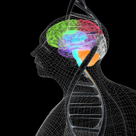 3D medical background with human, brain and DNA strands. 3d render. On a black background.の写真素材