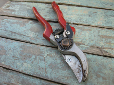 scissor for garden