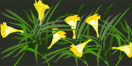 Yellow oleander flower on tree with green leavesのイラスト素材