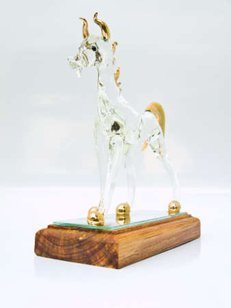 Horse is one of the zodiac animalの写真素材