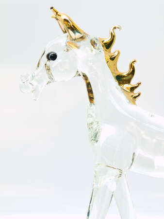 Horse is one of the zodiac animalの写真素材
