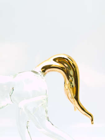 Horse is one of the zodiac animalの写真素材