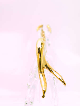 Horse is one of the zodiac animalの写真素材