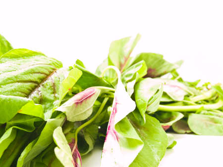 Fresh spinach leavesの写真素材