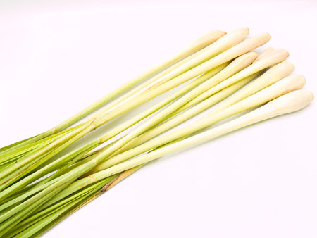 Fresh Lemongrassの写真素材