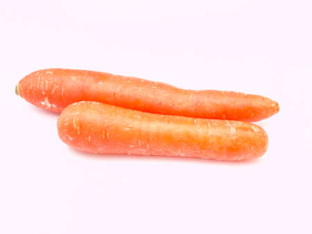 Fresh carrotsの写真素材
