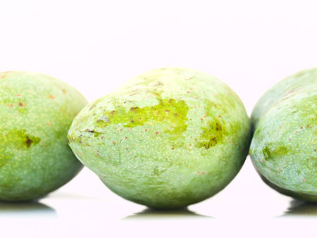 Green mangoes from Thailandの写真素材