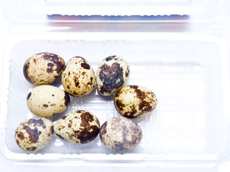 Quail eggs in plastic tray isolated on white backgroundの写真素材