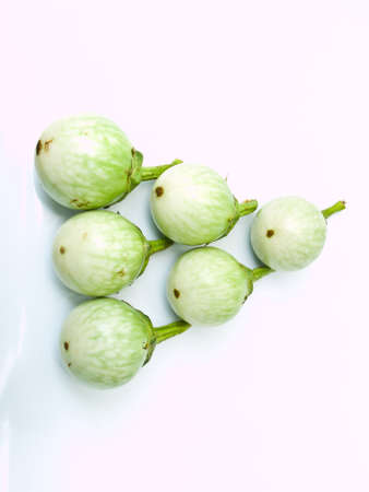 fresh green eggplants, CHIONATHUS PARKINONII , isolated on white background の写真素材