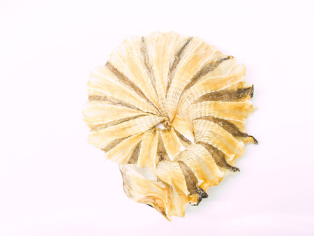Round dried fishes from Thailand isolated on white background