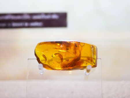 Amber from Kalasin, Thailandの写真素材