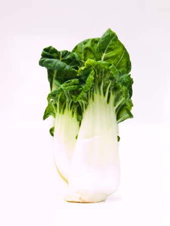 Fresh baby bok choy, Brassica rapa chinensis,  isolated on white backgroundの写真素材