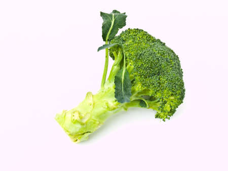 Fresh broccoli, Brassica oleracea var. italica, isolated on white backgroundの写真素材