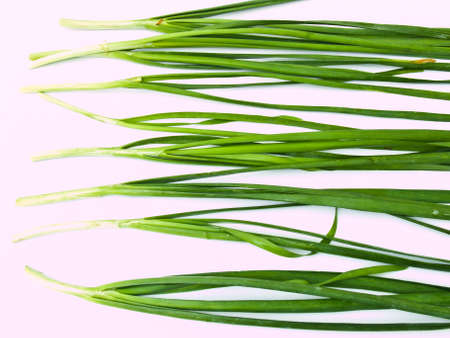 Garlic chives  isolated on white backgroundの写真素材