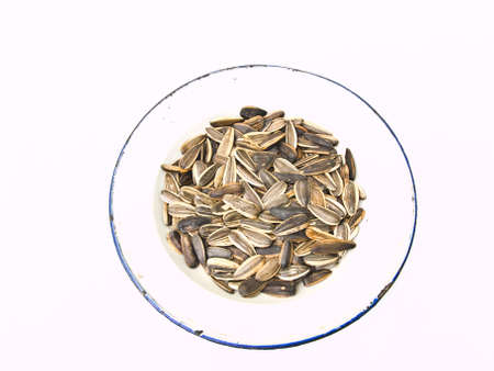 Sunflower seeds in a whith dish isolated on white background as backgroundの写真素材
