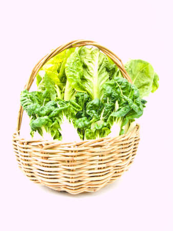 Fresh  baby bok choy and cos salad in ratten basket isolated on white backgroundの写真素材