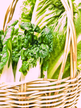 Closeup of fresh  baby bok choy ans  cos salad in ratten basket as  backgroundの写真素材