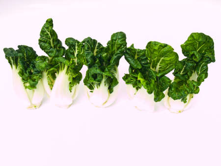 Bunch of Fresh baby bok choy, Brassica rapa chinensis,  isolated on white backgroundの写真素材