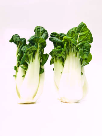 Bunch of Fresh baby bok choy, Brassica rapa chinensis,  isolated on white backgroundの写真素材
