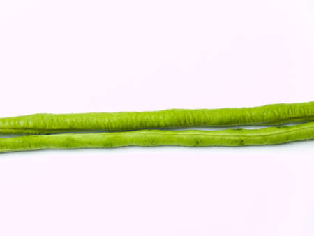 Yardlong bean, Vigna unguiculata subsp  sesquipedalis, isolated on white backgroundの写真素材