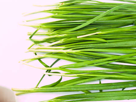 Garlic chives  isolated on white backgroundの写真素材