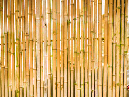 bamboo fence backgroundの写真素材