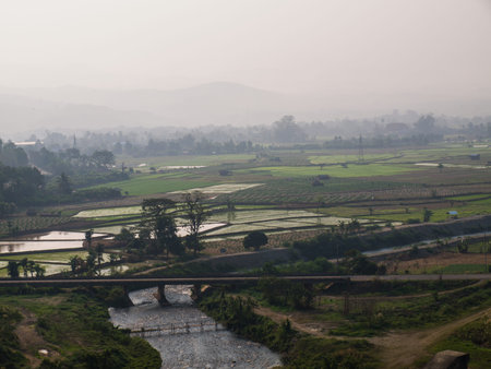 Canel and paddy field nearby Mae Suay reservoir, Chiang rai, Thailand
