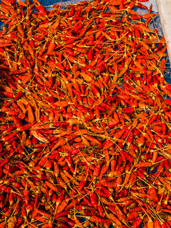 red dried chilli in sunlight