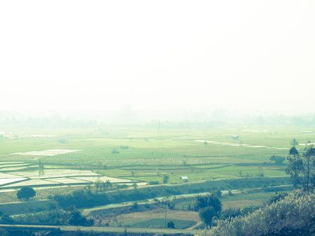Canel and paddy field nearby Mae Suay reservoir, Chiang rai, Thailand: Filtered image:cross processed vintage effect.の写真素材