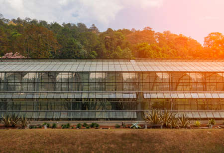 glasshouse in daytime in rural area for relaxation, travel, agritourism, agrotourism, season, time, holiday, agriculture, career and vocational conceptの写真素材