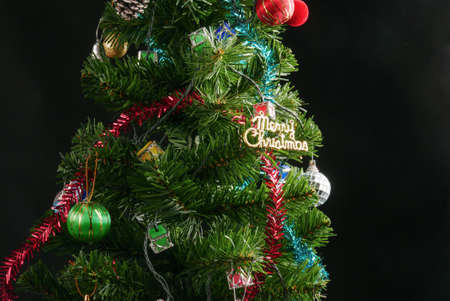 Decorated Christmas tree isolated on black background studio shot for family, giving, season, Christmas, holiday, new year, travel, Christian and gathering conceptの写真素材