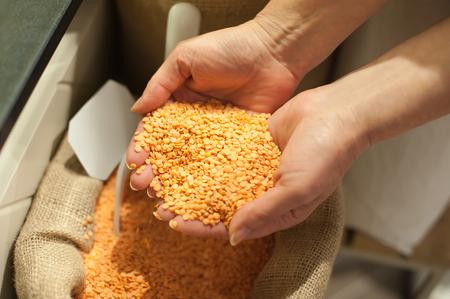 Close up of organic red lentils. Healthy food ingredient. Bio food conceptの写真素材